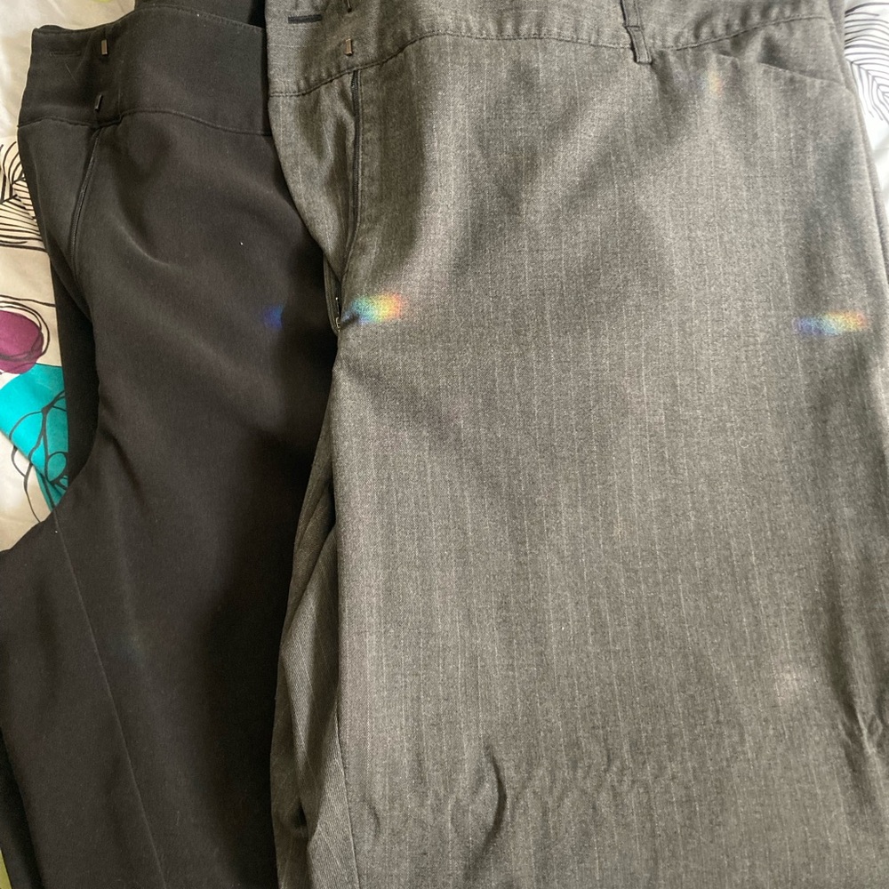 Apt. 9 Boot Cut & Flare Pants in Black and Charcoal Gray